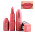 Love Bug Lipstick Waterproof Long Lasting