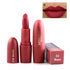 Monica Rose Nude Lipstick Waterproof Long Lasting